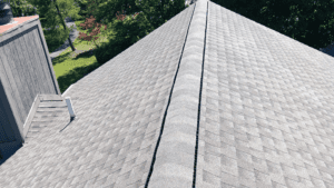 clean my roof