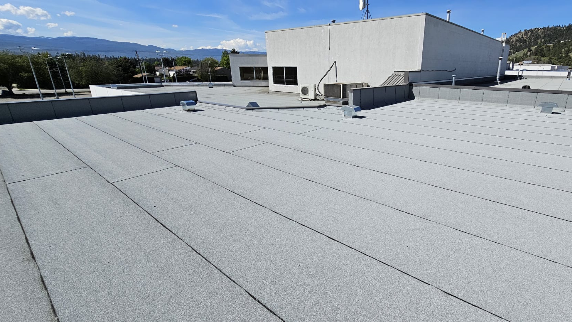 commercial flat roof systems