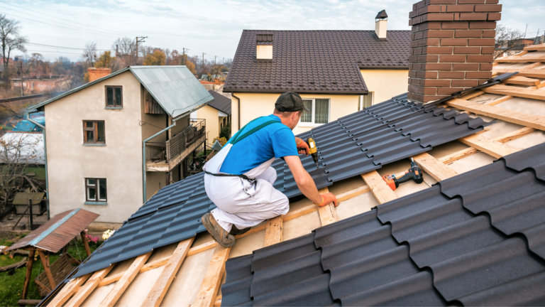 Roofer fastening dark metal roofing panels over timber battens