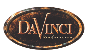 DaVinci Roofscapes